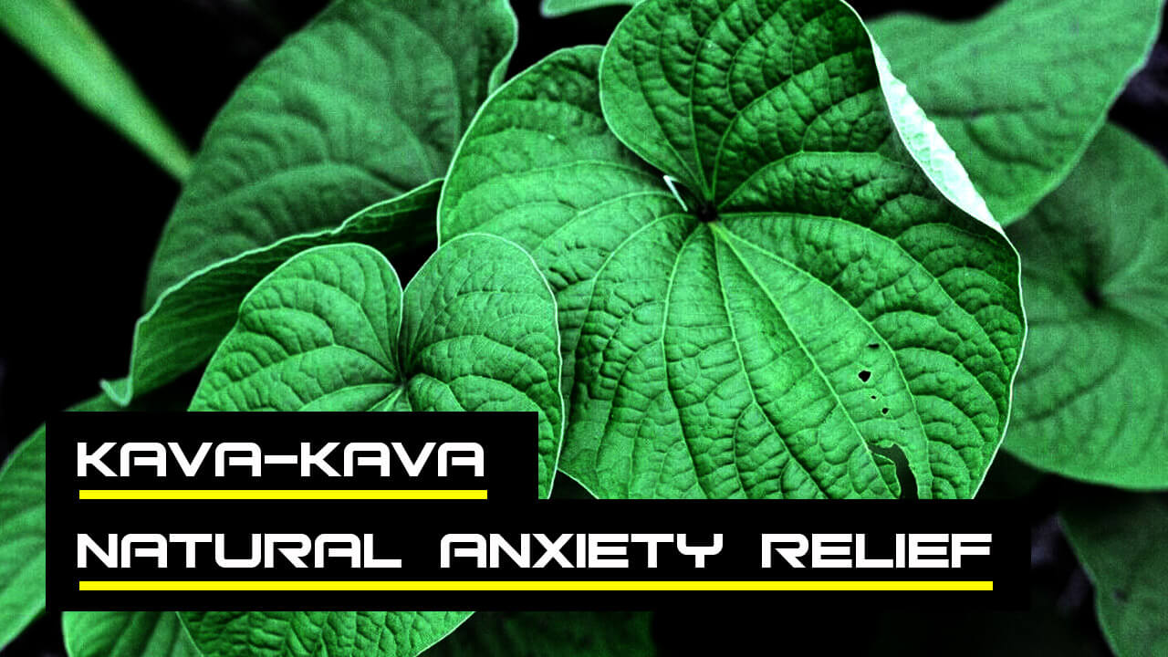 Always On Nutrition - Kava Review